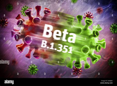 b beta corona